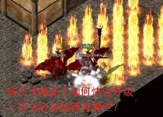 玛法大陆新手如何快速升级?闯关必备秘籍有哪些? 玛法大陆新手如何快速升级?闯关必备秘籍有哪些?