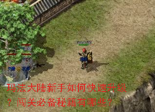 玛法大陆新手如何快速升级?闯关必备秘籍有哪些? 玛法大陆新手如何快速升级?闯关必备秘籍有哪些?