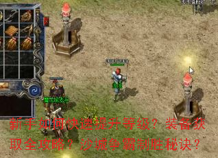 新手如何快速提升等级?装备获取全攻略?沙城争霸制胜秘诀? 新手如何快速提升等级?装备获取全攻略?沙城争霸制胜秘诀?