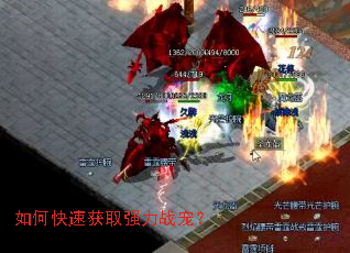 如何快速获取强力战宠? 如何快速获取强力战宠?