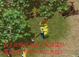 新手如何快速上手至臻蓝月?激活码如何助你风云再起? 新手如何快速上手至臻蓝月?激活码如何助你风云再起?