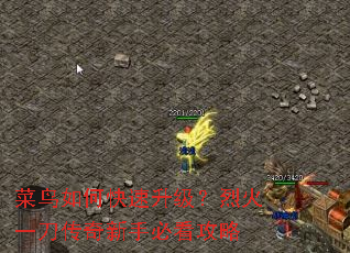 菜鸟如何快速升级?烈火一刀传奇新手必看攻略 菜鸟如何快速升级?烈火一刀传奇新手必看攻略