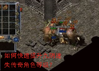 如何快速提升九阴迷失传奇角色等级? 如何快速提升九阴迷失传奇角色等级?