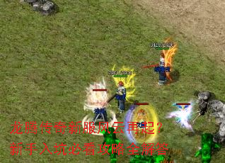 龙腾传奇新服风云再起?新手入坑必看攻略全解答 龙腾传奇新服风云再起?新手入坑必看攻略全解答