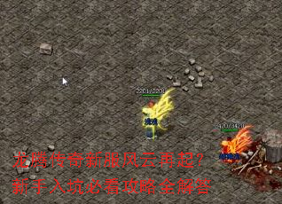 龙腾传奇新服风云再起?新手入坑必看攻略全解答 龙腾传奇新服风云再起?新手入坑必看攻略全解答