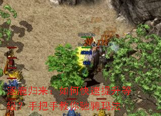 逐鹿归来:如何快速提升等级?手把手教你驰骋玛法 逐鹿归来:如何快速提升等级?手把手教你驰骋玛法