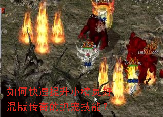 如何快速提升小精灵好混版传奇的抓宠技能? 如何快速提升小精灵好混版传奇的抓宠技能?