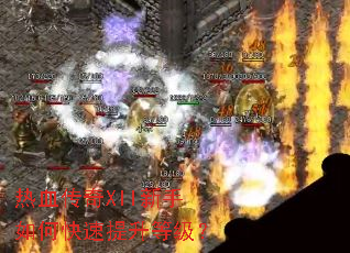 热血传奇XII新手如何快速提升等级? 热血传奇XII新手如何快速提升等级?