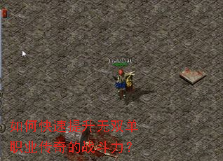 如何快速提升无双单职业传奇的战斗力? 如何快速提升无双单职业传奇的战斗力?
