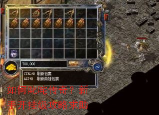 如何叱咤传奇?新手开挂级攻略求助 如何叱咤传奇?新手开挂级攻略求助