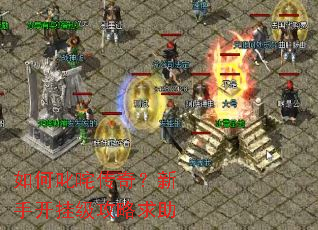 如何叱咤传奇?新手开挂级攻略求助 如何叱咤传奇?新手开挂级攻略求助
