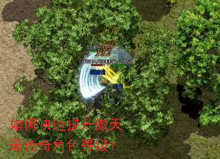 如何快速提升傲天录传奇角色等级? 如何快速提升傲天录传奇角色等级?