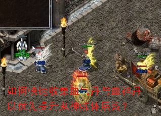 如何快速收集血气丹与血神丹以优先提升鬼神炼体层数? 如何快速收集血气丹与血神丹以优先提升鬼神炼体层数?