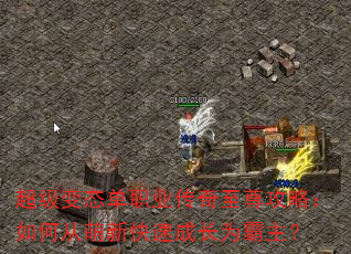 超级变态单职业传奇至尊攻略:如何从萌新快速成长为霸主? 超级变态单职业传奇至尊攻略:如何从萌新快速成长为霸主?