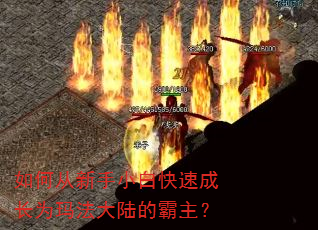 如何从新手小白快速成长为玛法大陆的霸主? 如何从新手小白快速成长为玛法大陆的霸主?