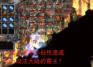 如何从新手小白快速成长为玛法大陆的霸主? 如何从新手小白快速成长为玛法大陆的霸主?