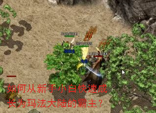 如何从新手小白快速成长为玛法大陆的霸主? 如何从新手小白快速成长为玛法大陆的霸主?
