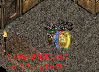 如何快速提升在温州传奇血染苍月中的战斗力? 如何快速提升在温州传奇血染苍月中的战斗力?