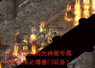 如何快速找到大神圈专属怪并确保必爆唐门装备? 如何快速找到大神圈专属怪并确保必爆唐门装备?