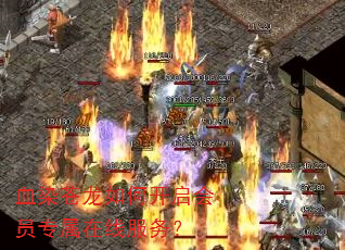 血染苍龙如何开启会员专属在线服务? 血染苍龙如何开启会员专属在线服务?
