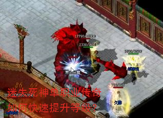 迷失死神单职业传奇如何快速提升等级? 迷失死神单职业传奇如何快速提升等级?