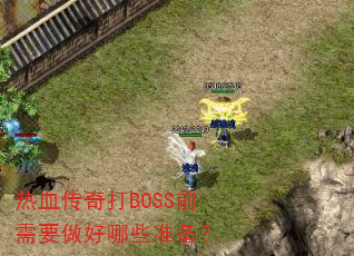 热血传奇打BOSS前需要做好哪些准备? 热血传奇打BOSS前需要做好哪些准备?