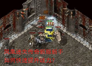 凤凰迷失传奇新服新手如何快速提升战力? 凤凰迷失传奇新服新手如何快速提升战力?