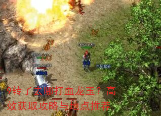 9转了去哪打血龙玉?高效获取攻略与地点推荐 9转了去哪打血龙玉?高效获取攻略与地点推荐
