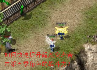 如何快速提升龍鳳变态合击第五季角色的战斗力? 如何快速提升龍鳳变态合击第五季角色的战斗力?