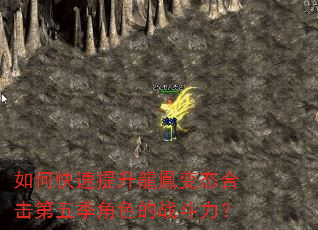 如何快速提升龍鳳变态合击第五季角色的战斗力? 如何快速提升龍鳳变态合击第五季角色的战斗力?