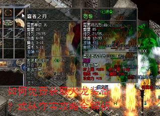 如何免费获取火龙装备?武林夺宝攻略全解析 如何免费获取火龙装备?武林夺宝攻略全解析