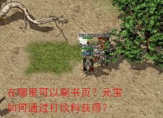 在哪里可以刷书页?元宝如何通过打饮料获得? 在哪里可以刷书页?元宝如何通过打饮料获得?