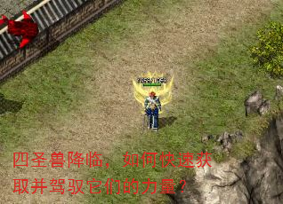 四圣兽降临,如何快速获取并驾驭它们的力量? 四圣兽降临,如何快速获取并驾驭它们的力量?