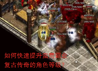 如何快速提升蛮荒霸业复古传奇的角色等级? 如何快速提升蛮荒霸业复古传奇的角色等级?