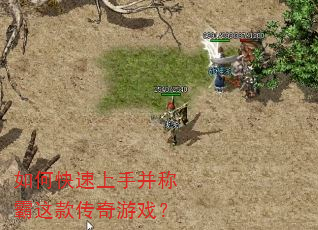 如何快速上手并称霸这款传奇游戏? 如何快速上手并称霸这款传奇游戏?