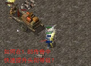 如何在1.85传奇中快速提升头衔等级? 如何在1.85传奇中快速提升头衔等级?