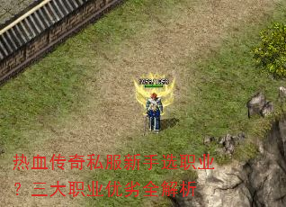 热血传奇私服新手选职业?三大职业优劣全解析 热血传奇私服新手选职业?三大职业优劣全解析
