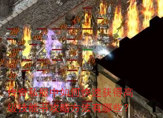 ����˽������ο��ٻ�ø߼������鹥�Է�������Щ��