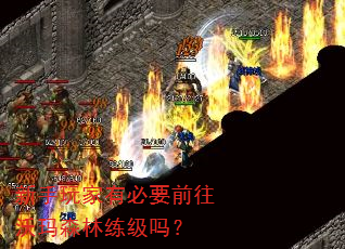 ��������б�Ҫǰ������ɭ��������