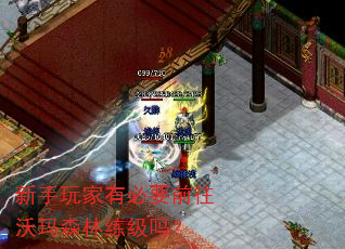 新手玩家有必要前往沃玛森林练级吗? 新手玩家有必要前往沃玛森林练级吗?