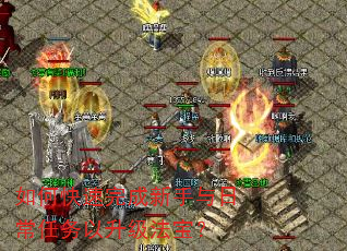 如何快速完成新手与日常任务以升级法宝? 如何快速完成新手与日常任务以升级法宝?