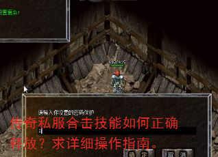 传奇私服合击技能如何正确释放?求详细操作指南。 传奇私服合击技能如何正确释放?求详细操作指南。