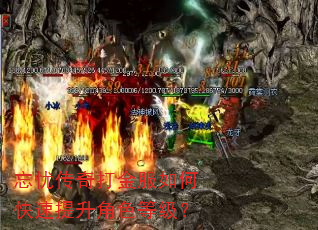 忘忧传奇打金服如何快速提升角色等级? 忘忧传奇打金服如何快速提升角色等级?