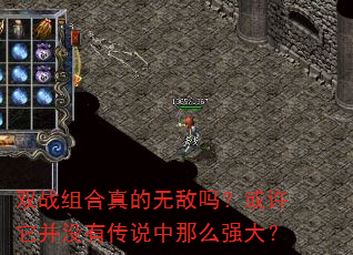 双战组合真的无敌吗?或许它并没有传说中那么强大? 双战组合真的无敌吗?或许它并没有传说中那么强大?