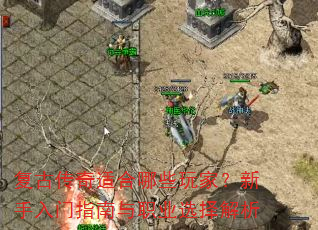 复古传奇适合哪些玩家?新手入门指南与职业选择解析 复古传奇适合哪些玩家?新手入门指南与职业选择解析
