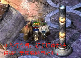 加入行会后,新手玩家能获得哪些专属奖励与福利? 加入行会后,新手玩家能获得哪些专属奖励与福利?