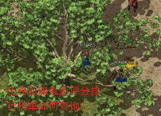 传奇私服最新评分排行榜单如何查询? 传奇私服最新评分排行榜单如何查询?