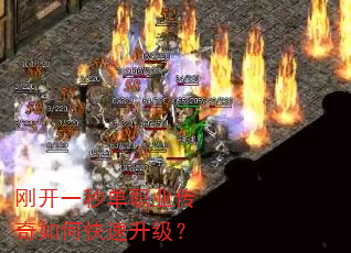 �տ�һ�뵥ְҵ������ο���������