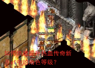 如何快速提升热血传奇新开sf中的角色等级? 如何快速提升热血传奇新开sf中的角色等级?