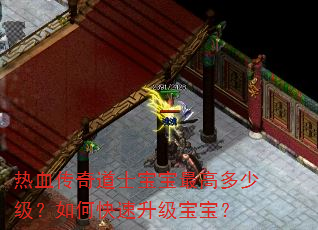 热血传奇道士宝宝最高多少级?如何快速升级宝宝? 热血传奇道士宝宝最高多少级?如何快速升级宝宝?